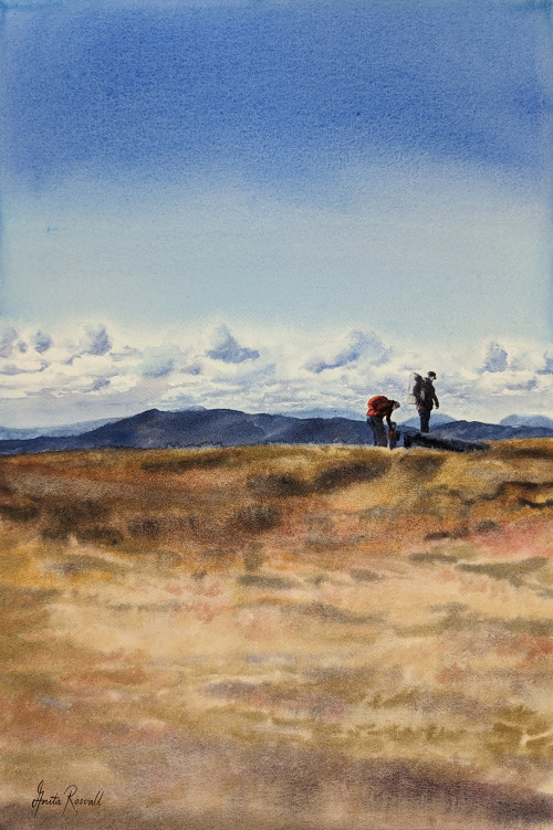 Fjallvandring